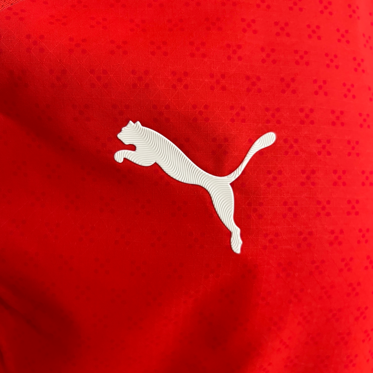 Camiseta local de Portugal 2025 Jugador