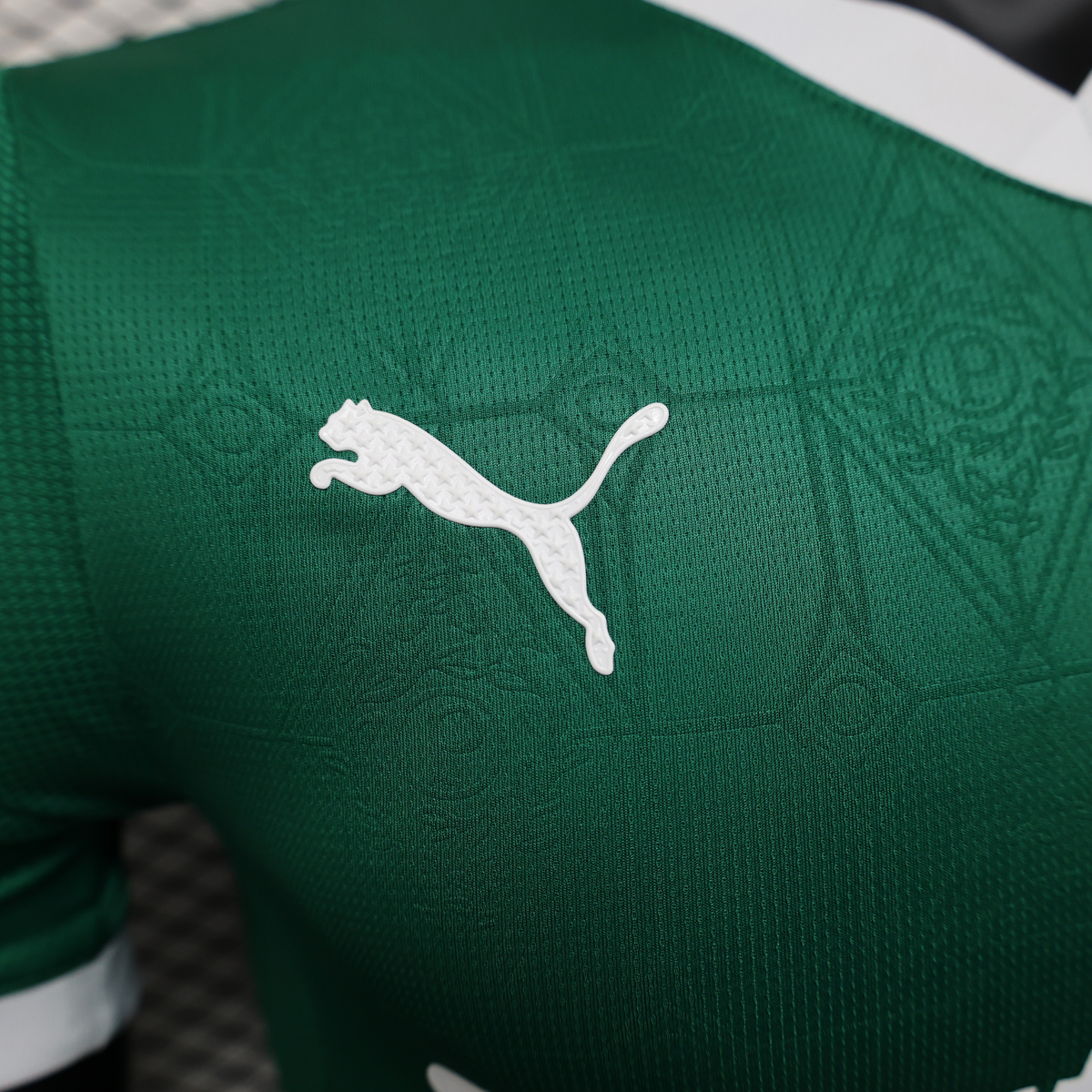 Palmeiras Home Jersey 25/26 Player