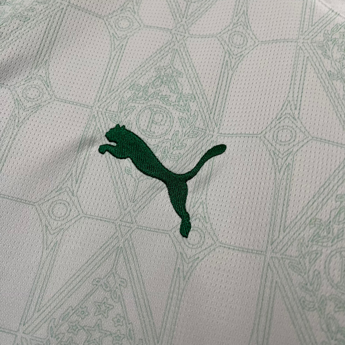 Palmeiras Away Jersey 25/26 Fan Version