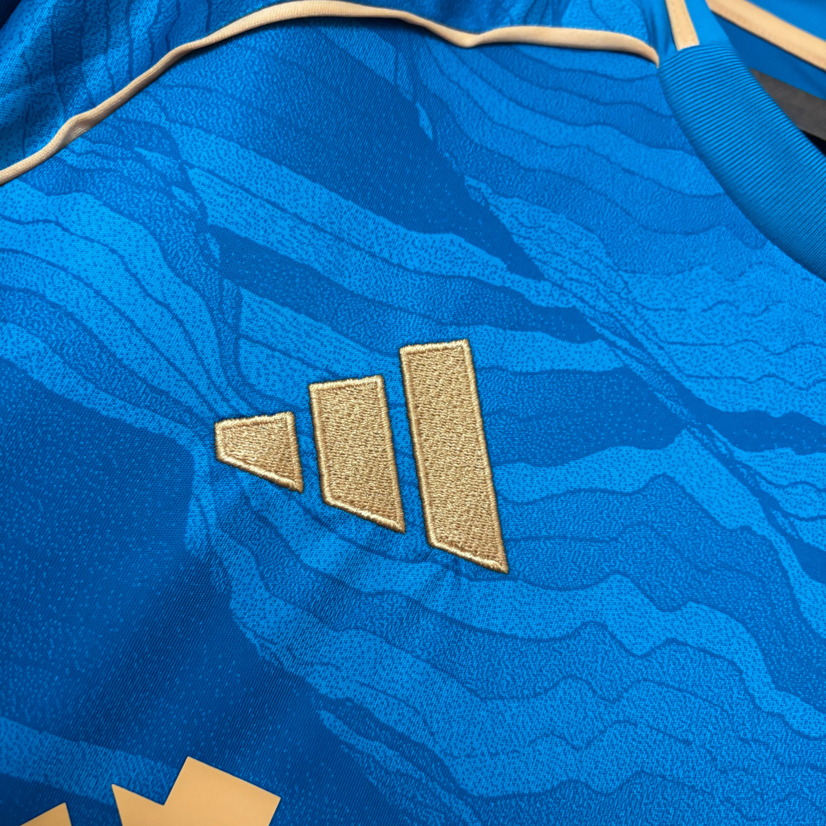 Cruzeiro Third Jersey 25/26 Fan Version