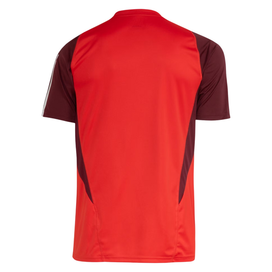 Internacional Training Jersey 24/25 Fan Version