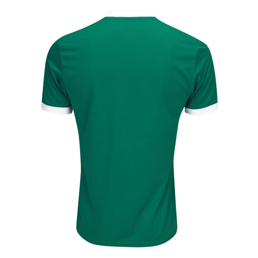 Camiseta Palmeiras Local 25/26 Versión Fan