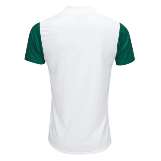Camiseta Palmeiras Visitante 25/26 Versión Fan