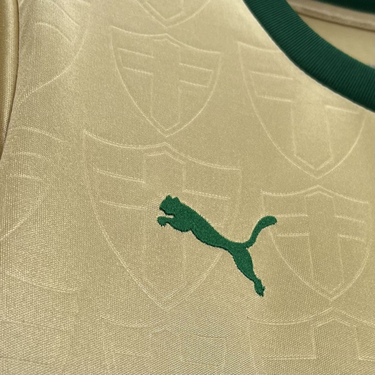 Palmeiras Third Jersey 24/25 Women's Fan Version