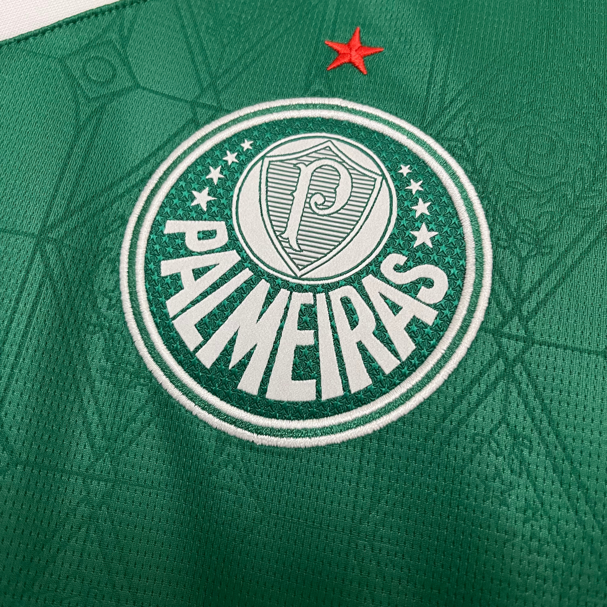 Palmeiras Home Jersey 25/26 Fan Version