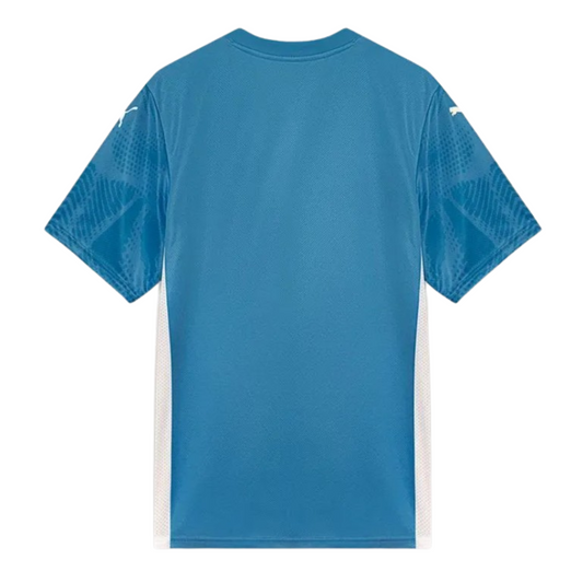 Camiseta de portero del Palmeiras I 25/26 Versión Fan 