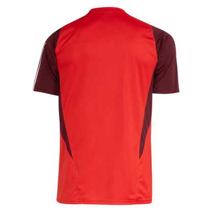 Internacional Training Jersey 24/25 Fan Version