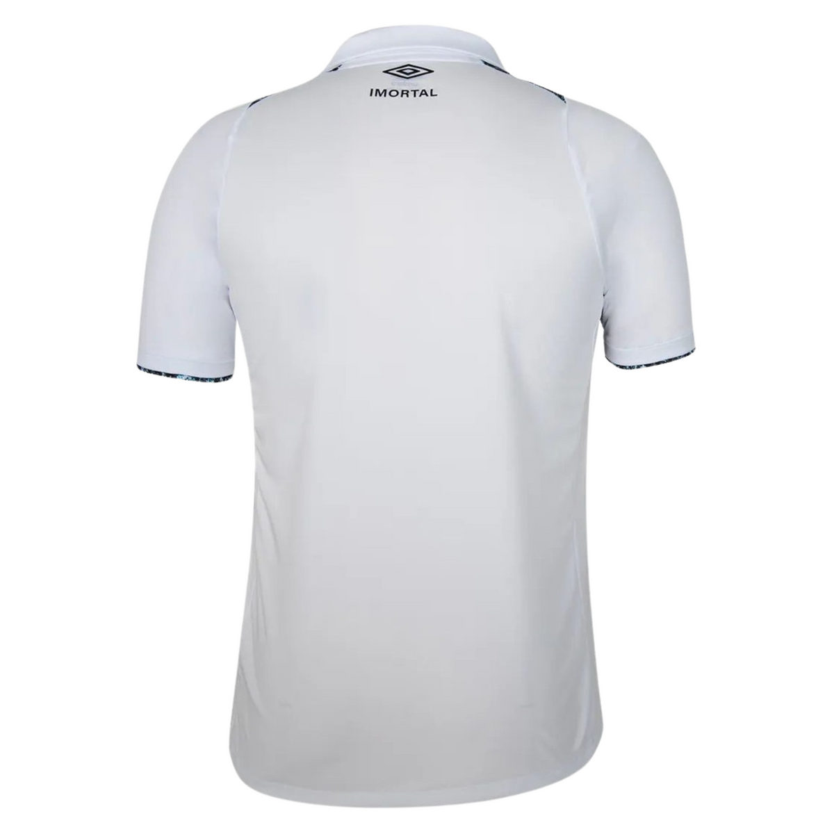 Grêmio II Jersey 24/25 Fan Version