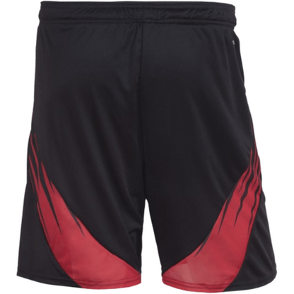 Pantalones cortos Flamengo II 25/26 