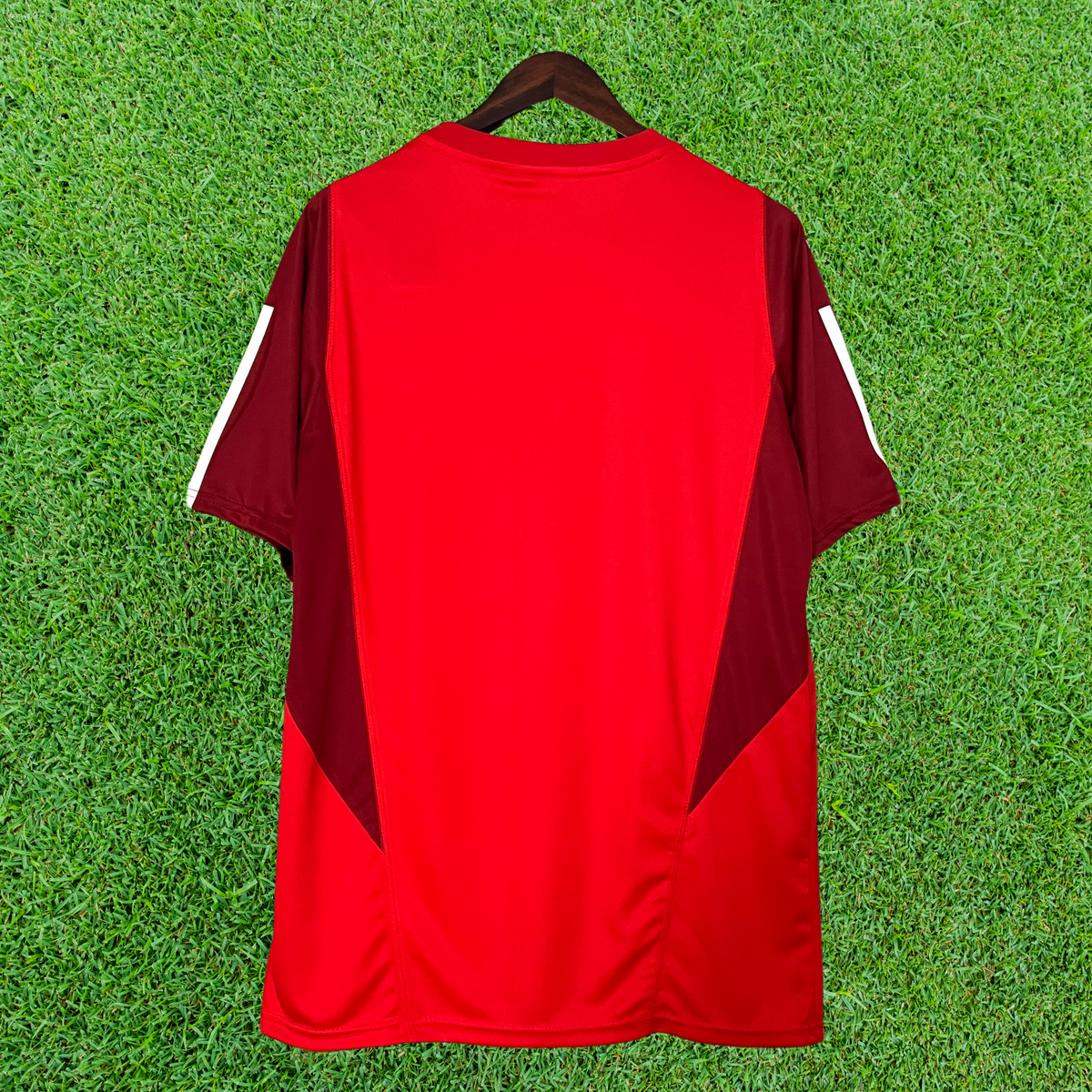 Internacional Training Jersey 24/25 Fan Version