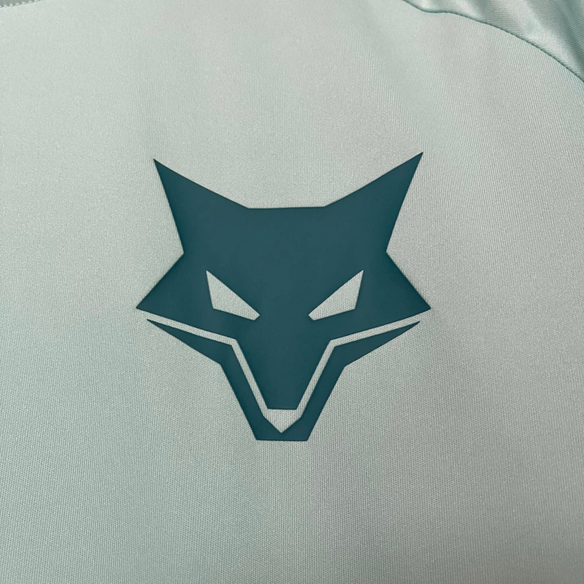 Camiseta de entrenamiento del Cruzeiro I 25/26 Versión Fan 