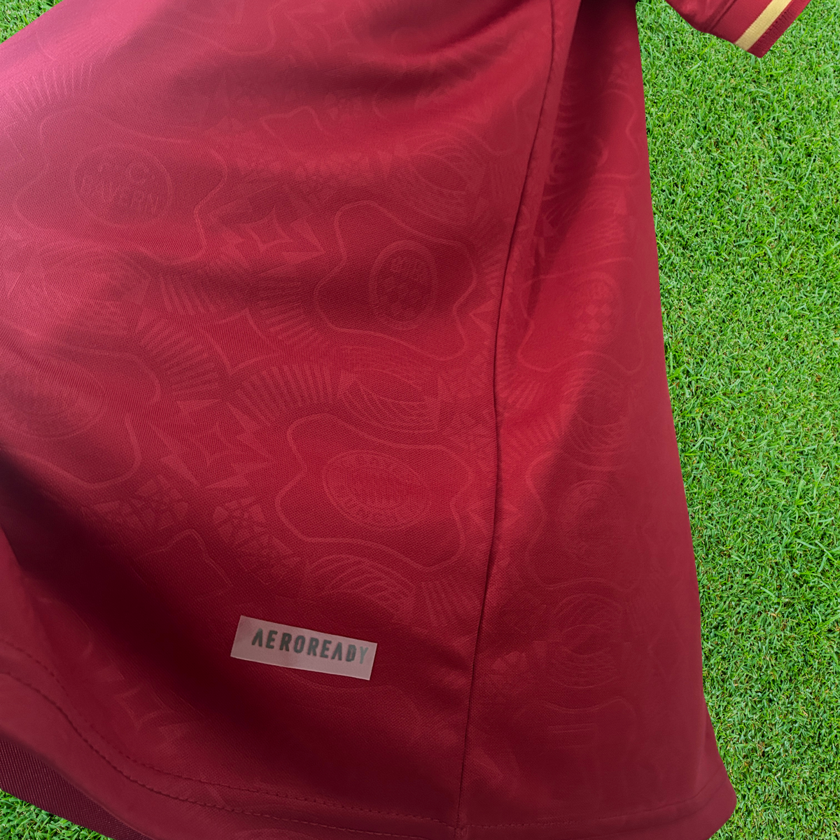 Camisa Bayern Munich Aniversário 25/26 Torcedor