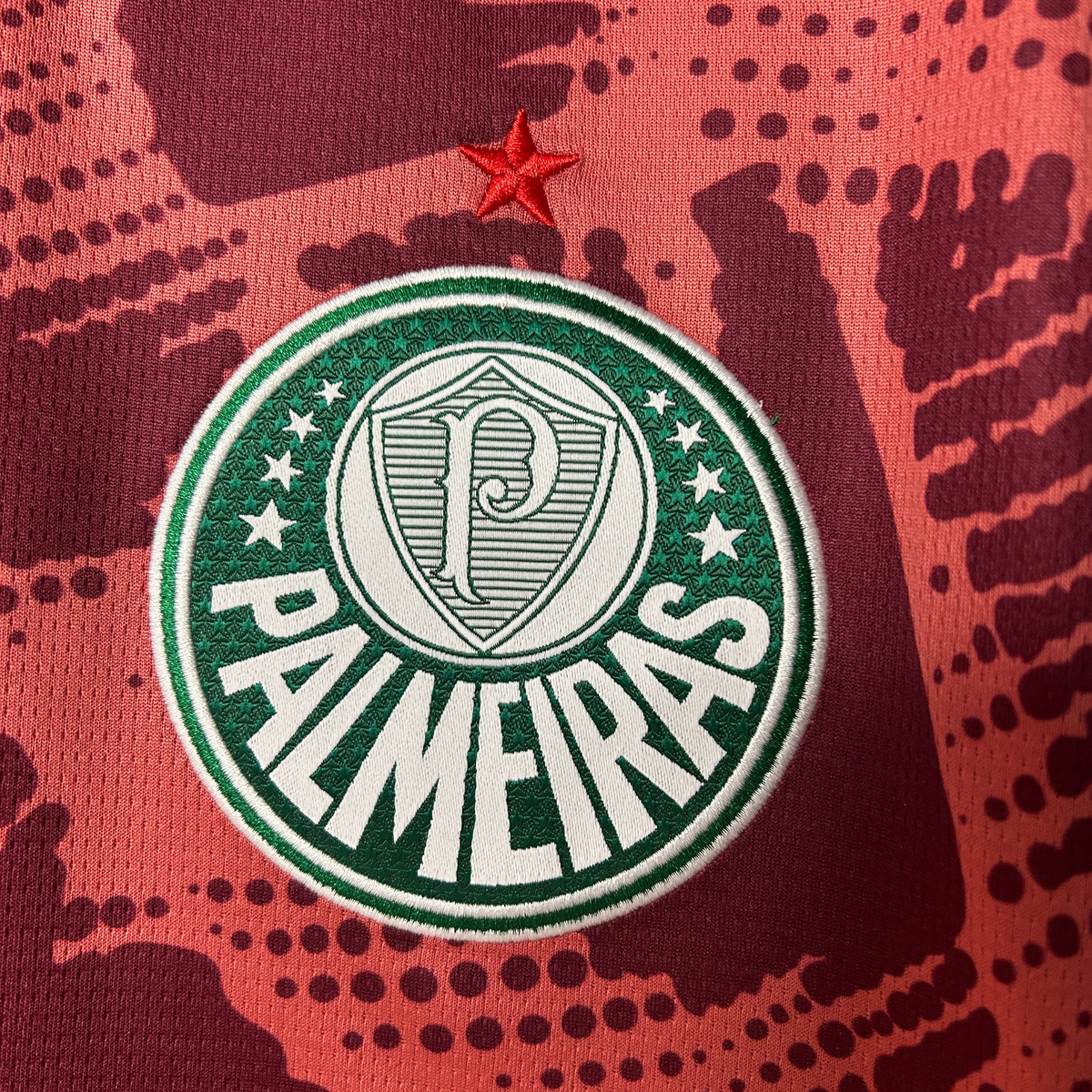 Palmeiras Goalkeeper Third Jersey 25/26 Fan Version