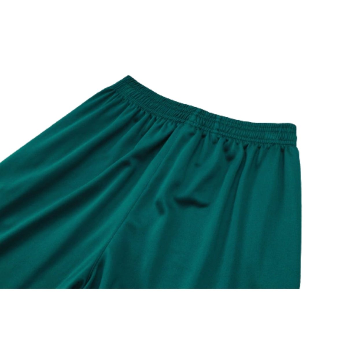 Palmeiras 24/25 - Tracksuit - Complete Zip