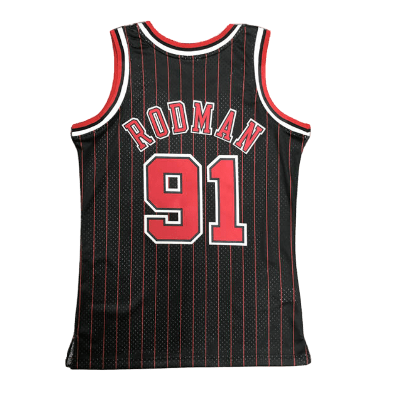 Toros de Chicago 1995-96 